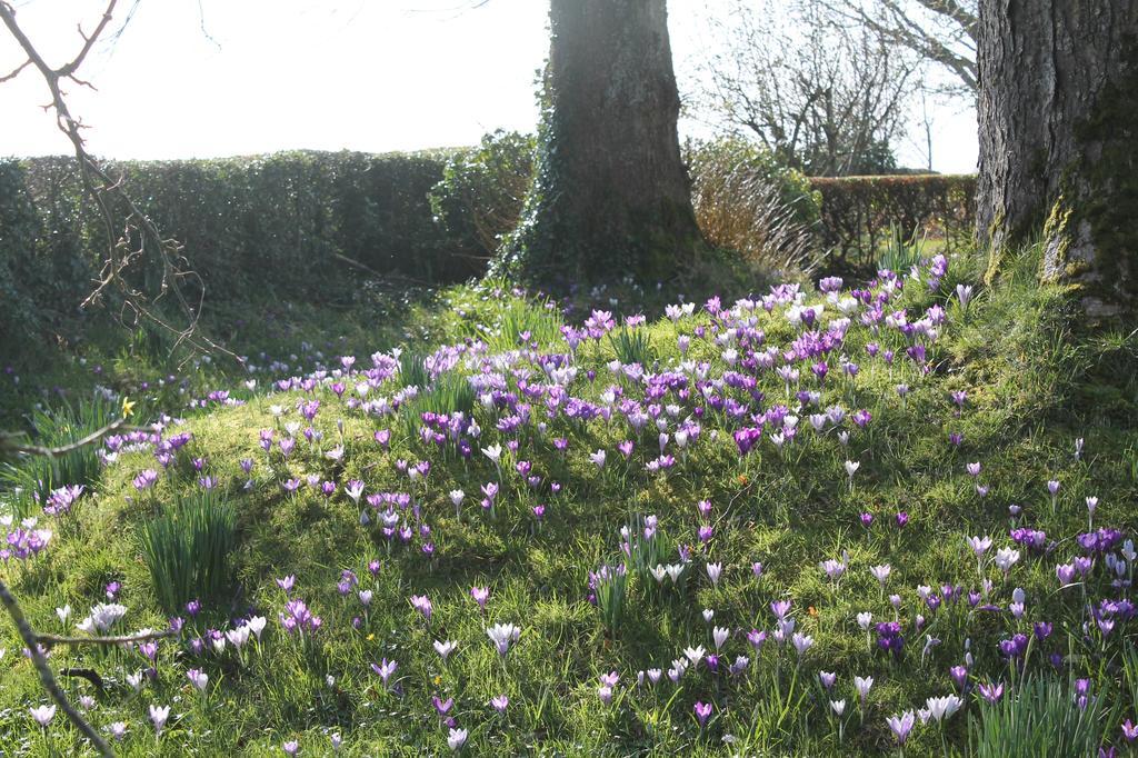 Ballyhargan Farm House Dungiven المظهر الخارجي الصورة