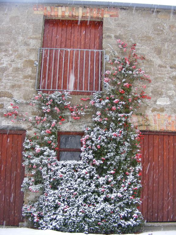 Ballyhargan Farm House Dungiven المظهر الخارجي الصورة
