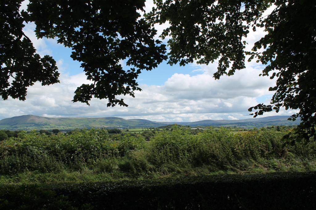 Ballyhargan Farm House Dungiven المظهر الخارجي الصورة