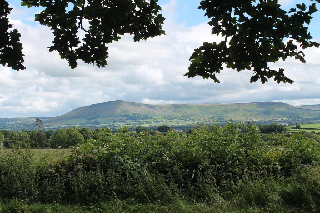 Ballyhargan Farm House Dungiven المظهر الخارجي الصورة