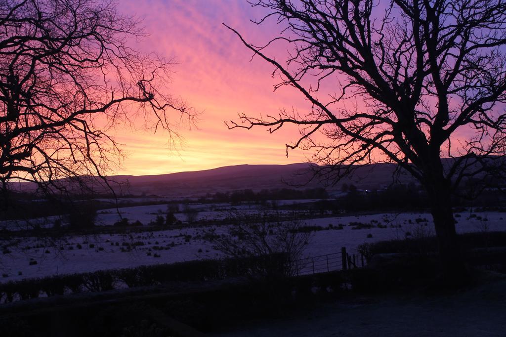 Ballyhargan Farm House Dungiven المظهر الخارجي الصورة