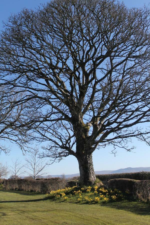 Ballyhargan Farm House Dungiven المظهر الخارجي الصورة